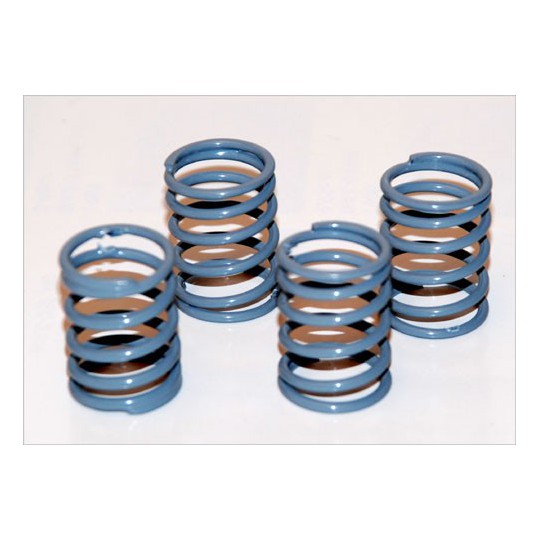 Radio -controlled car accessories 4 average springs 1/10 track Radio -controlled car accessories 4 average springs 1/10 track | Scientific-MHD