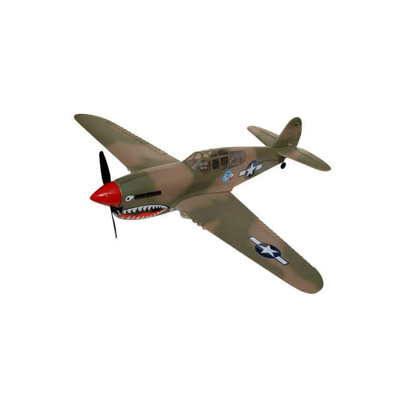 Draft electric aircraft P-40 Warhawk EP ARF | Scientific-MHD
