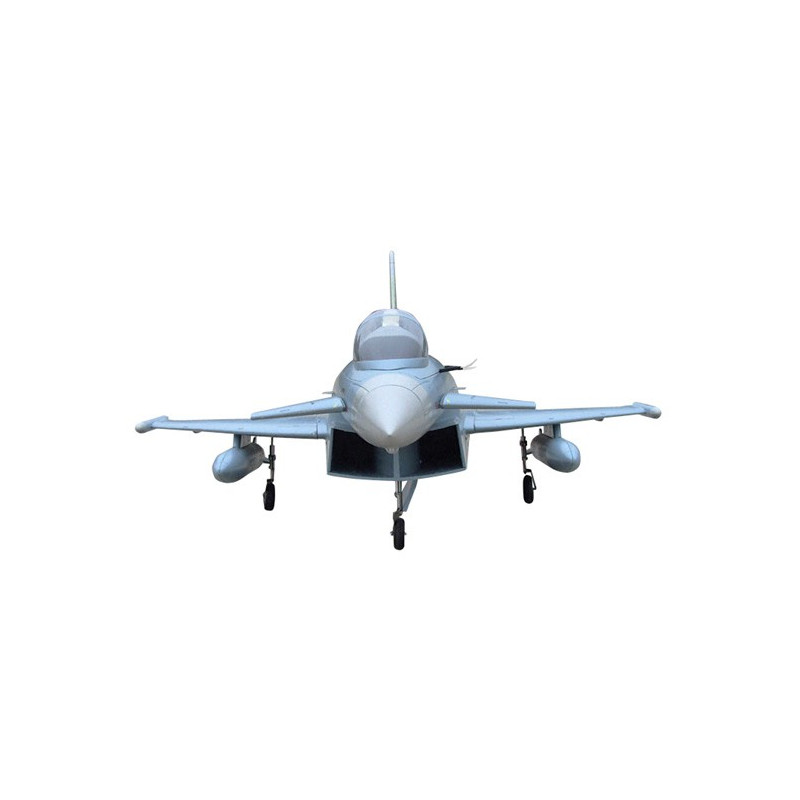 Electric aircraft Insolved Eurofighter ARF Pushed. 360 ° | Scientific-MHD