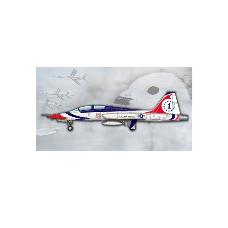 US plastic plane model T-38A Talon Thunderbird | Scientific-MHD