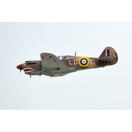 Radio-controlled thermal aircraft P-40C Tomahawk 60cc ARF | Scientific-MHD Radio-controlled thermal aircraft P-40C Tomahawk 60cc ARF | Scientific-MHD