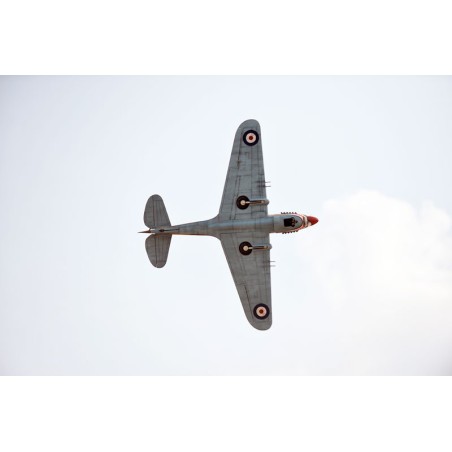 Radio-controlled thermal aircraft P-40C Tomahawk 60cc ARF | Scientific-MHD Radio-controlled thermal aircraft P-40C Tomahawk 60cc ARF | Scientific-MHD