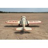 Gilmore 60cc GP-EP ARF radio-controlled thermal airplane | Scientific-MHD