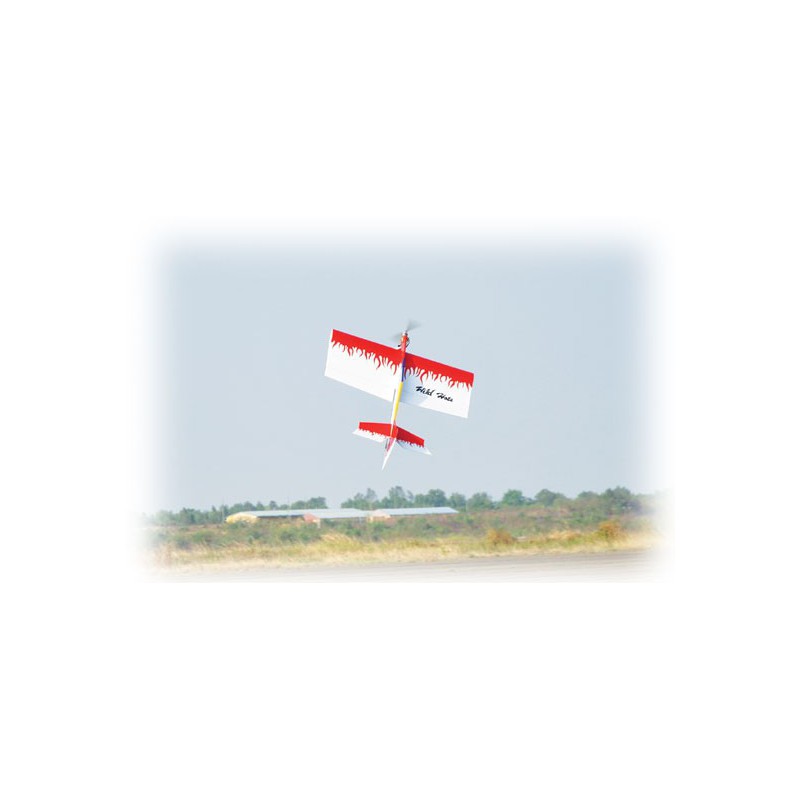 Wild HOTS EP ARF radio -controlled electrical planes | Scientific-MHD