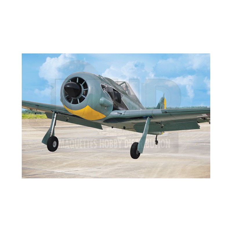 Radio -controlled thermal airplane Focke Wulf 120 GP ARF | Scientific-MHD