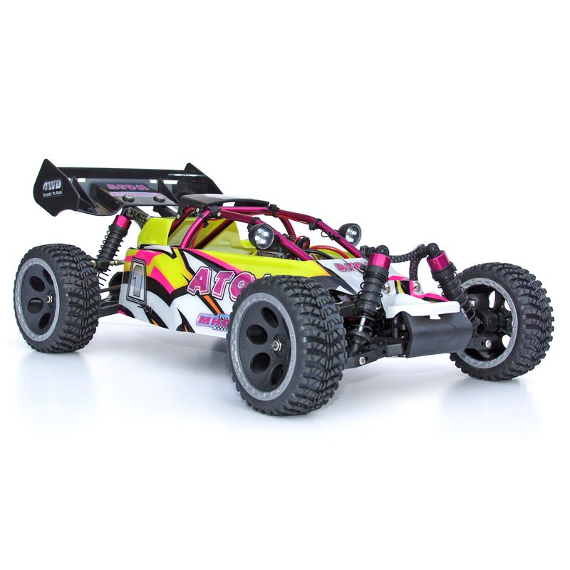 Atom Roller Cage 1/10 | Scientific-MHD
