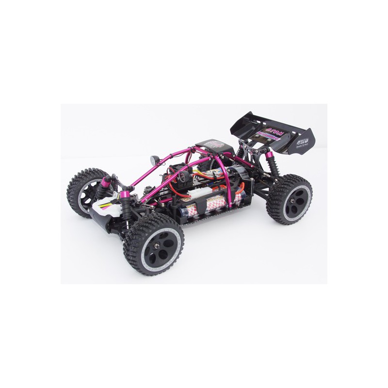 Atom Roller Cage 1/10 | Scientific-MHD