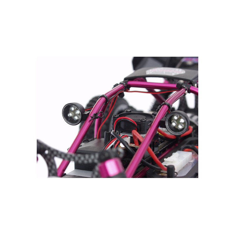 Atom Roller Cage BL 1/10 | Scientific-MHD