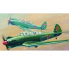 Yak-18 max plastic plane model | Scientific-MHD Yak-18 max plastic plane model | Scientific-MHD
