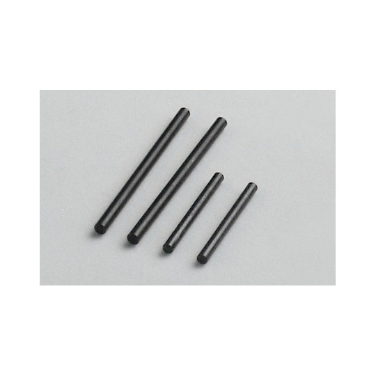 Electric car room all path 1/10 axes pins | Scientific-MHD