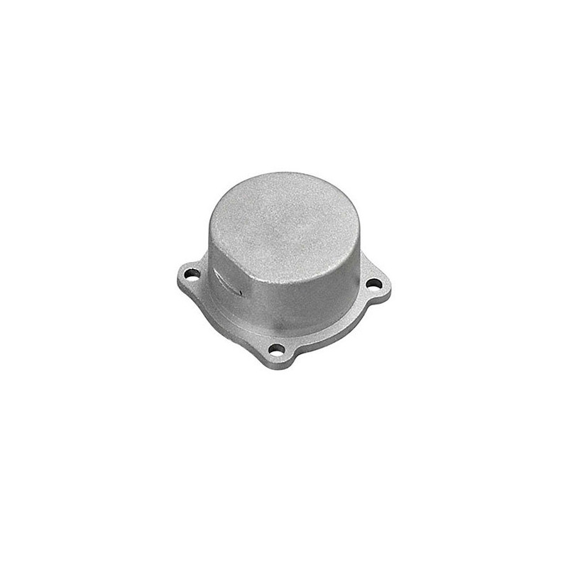 Part for thermal engine Carter plug 21RG | Scientific-MHD