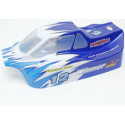 Electric car room all path 1/10 BUGGY BUGGY 1/10 bodywork | Scientific-MHD