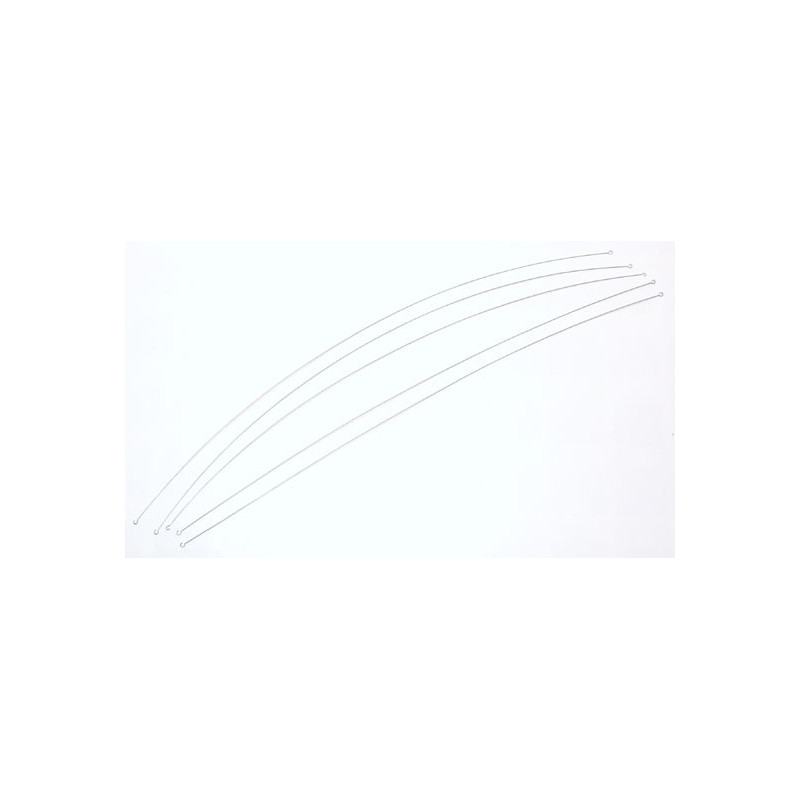 CARIBBEAN RC BOATS RC | Scientific-MHD