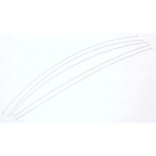 CARIBBEAN RC BOATS RC | Scientific-MHD