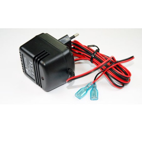 Charger for accusation for radiocomanded device 2V charger - 500mAh for cyclon | Scientific-MHD Charger for accusation for radiocomanded device 2V charger - 500mAh for cyclon | Scientific-MHD