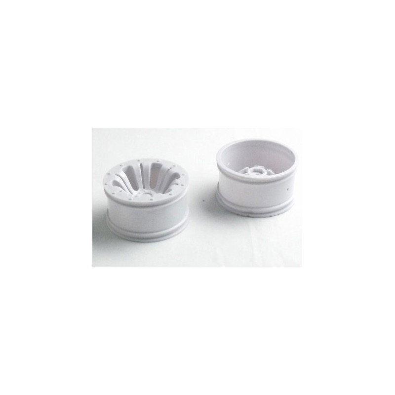 Electric car room all path 1/10 Truggy & Monster rims | Scientific-MHD