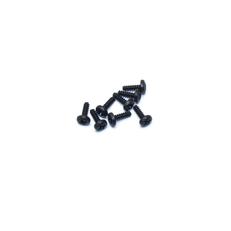 Electric car room all path 1/10 Kansas flat head screw 2.5x8mm | Scientific-MHD