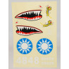 Part for planes P-40 Decal Plate | Scientific-MHD