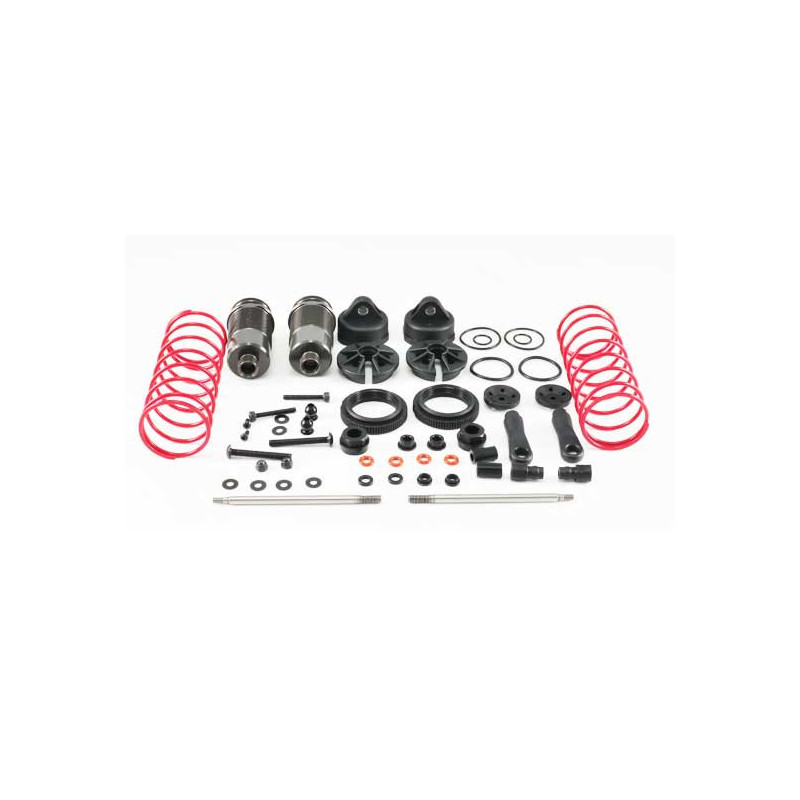 Electric car room pair of complete shock absorbers | Scientific-MHD