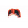 Electric car room all path 1/10 red radiator Mad Zombie | Scientific-MHD