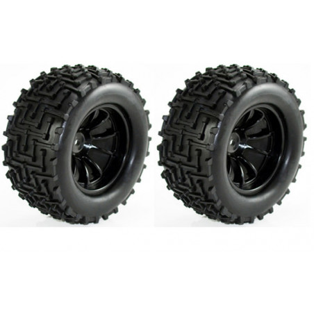 Monster Winner 1/10 Radiocommented Car | Scientific-MHD