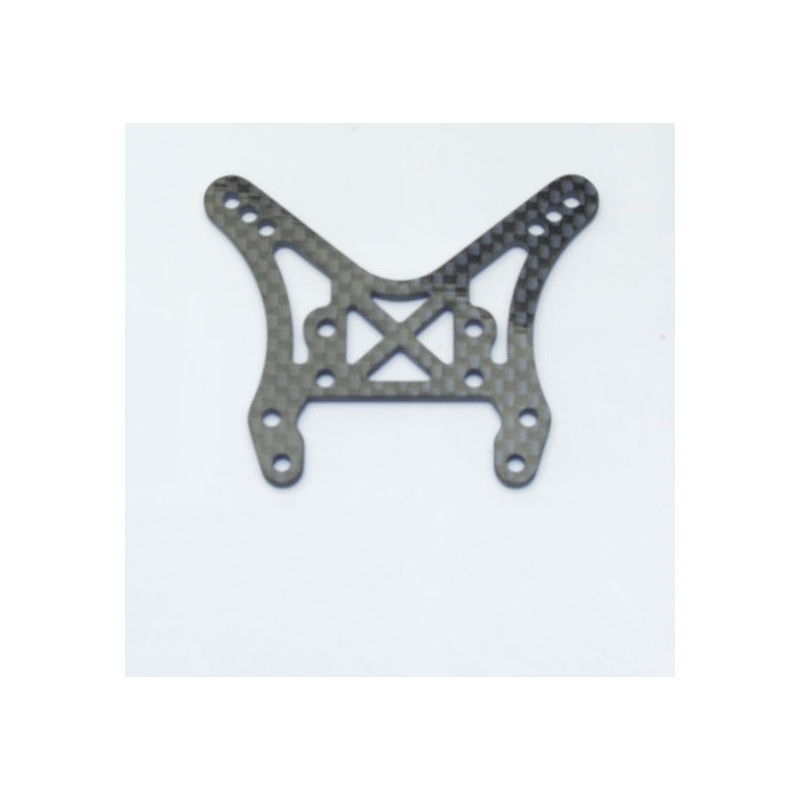 Part for electric car all path 1/10 Dushing support. Avt Rallycarbon | Scientific-MHD