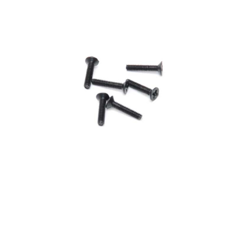 Piece for Electric Buggy 1/18 Texas M2X10 Straiseworthy screws (6pcs) | Scientific-MHD