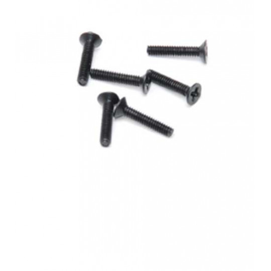 Piece for Electric Buggy 1/18 Texas M2X10 Straiseworthy screws (6pcs) | Scientific-MHD