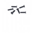 Piece for Electric Buggy 1/18 Texas M2X8 Straiseworthy screws (6pcs) | Scientific-MHD