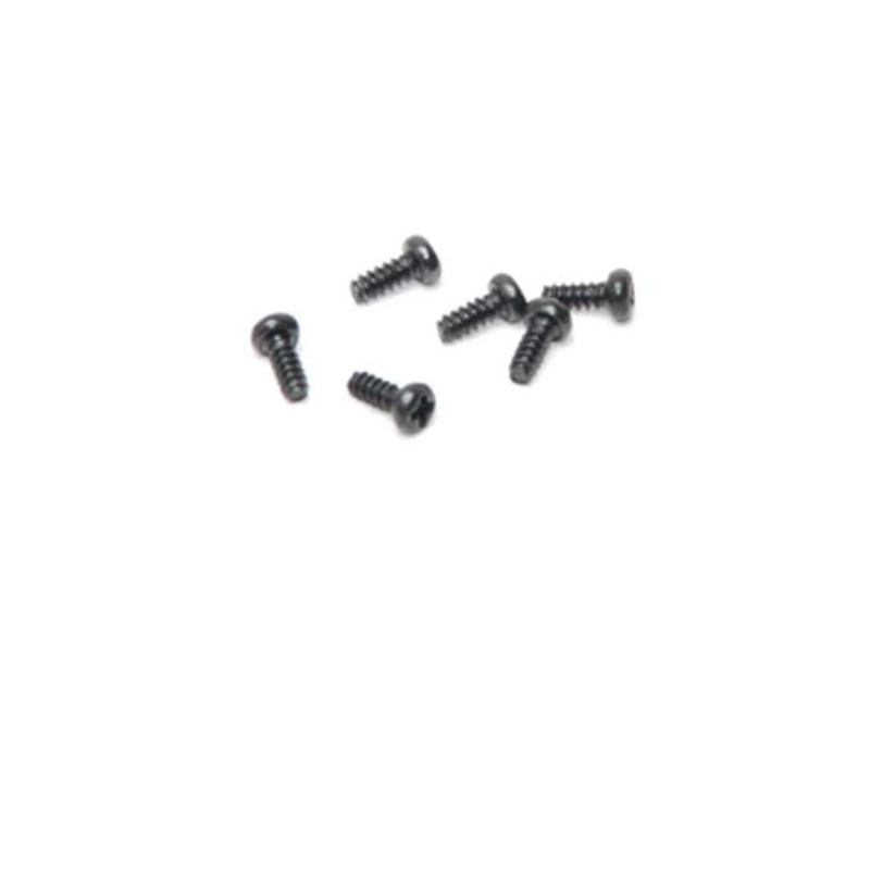 Piece for Electric Buggy 1/18 Texas Round screw M2X4 (6pcs) | Scientific-MHD
