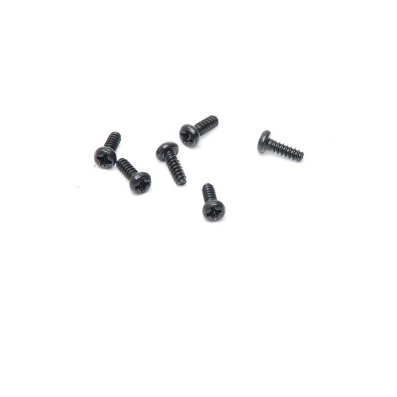 Piece for Electric Buggy 1/18 Texas Round screw M2X6 (6pcs) | Scientific-MHD