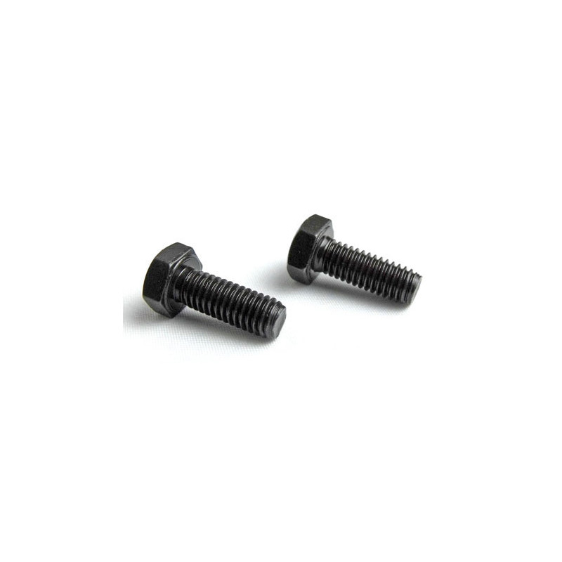 Part for thermal car all path 1/5 screw M6*16 (2p) | Scientific-MHD