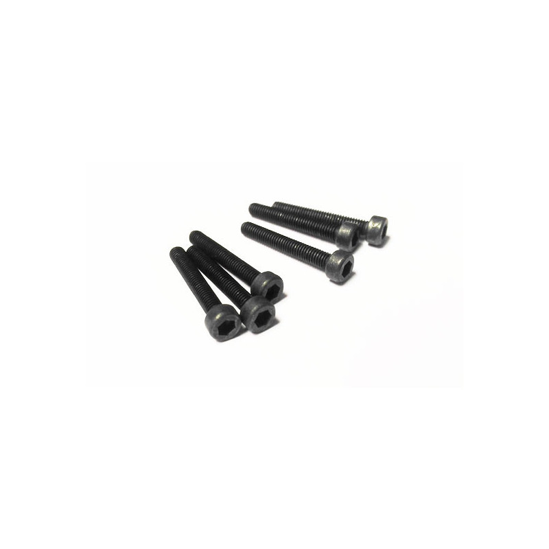 Electric car room all path 1/10 CHC M3X14mm screw | Scientific-MHD
