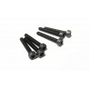 Electric car room all path 1/10 CHC M3X14mm screw | Scientific-MHD