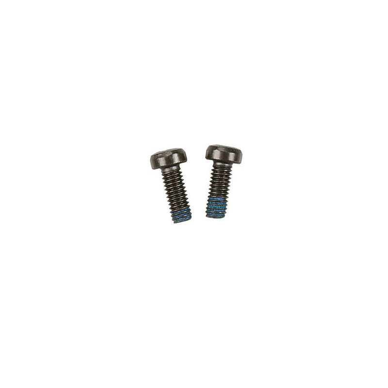 Part for thermal engine 10F fixing screw | Scientific-MHD