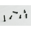 Part for electric car all path 1/10 Parker screw 2*10 6pcs | Scientific-MHD