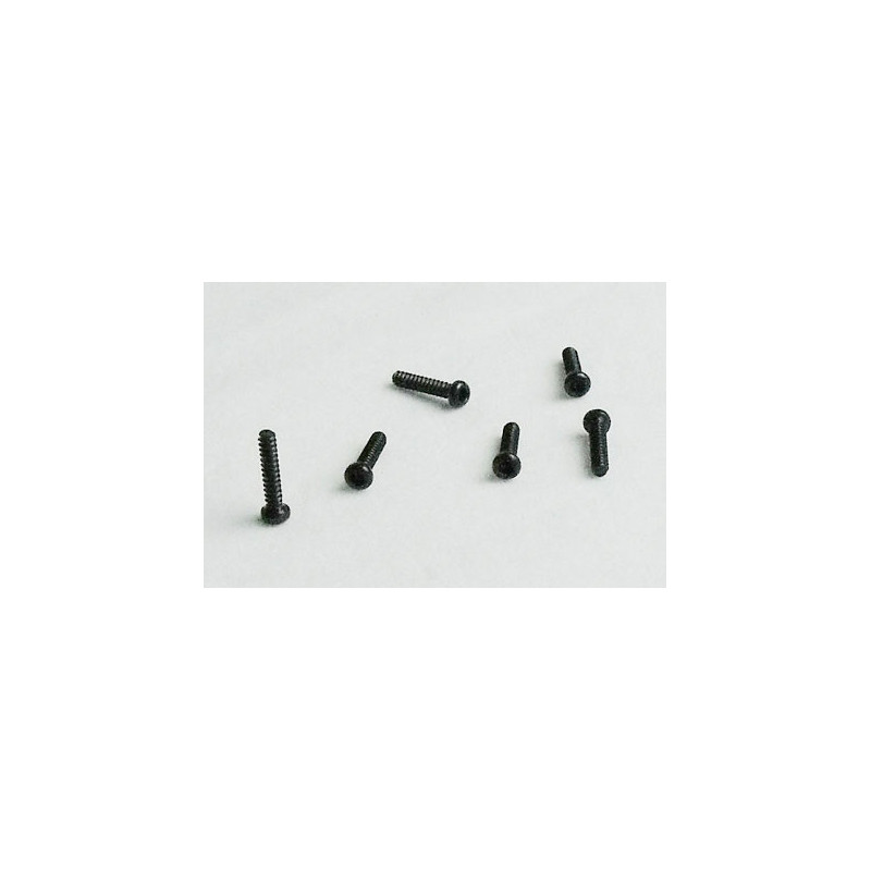 Part for electric car all path 1/10 Parker screw 2*10 6pcs | Scientific-MHD