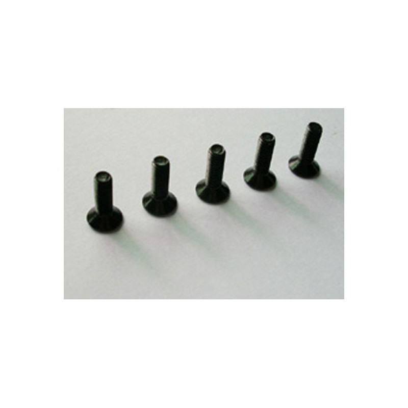 Part for electric car all path 1/10 flat screw m3*10 6pcs | Scientific-MHD