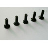 Part for electric car all path 1/10 flat screw m3*10 6pcs | Scientific-MHD