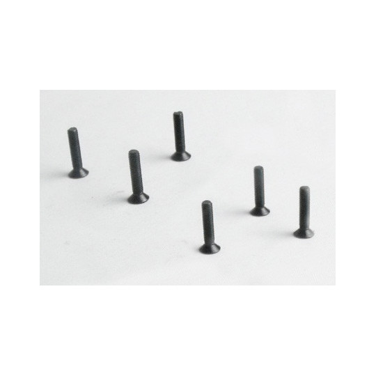 Part for electric car all path 1/10 flat screw m3*14 6pcs | Scientific-MHD