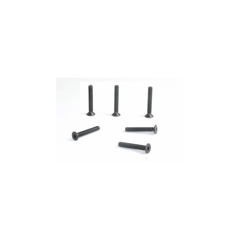 Part for electric car all path 1/10 flat screw m3*20 6pcs | Scientific-MHD