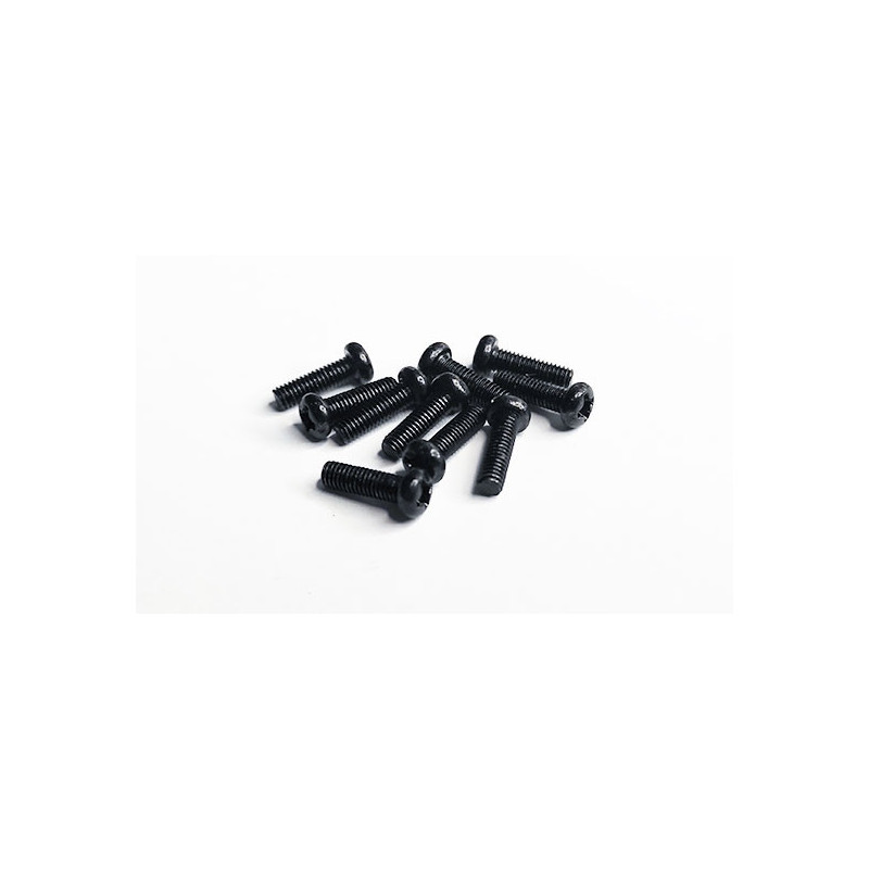 Electric car room all path 1/10 M3X10 curved head screw | Scientific-MHD