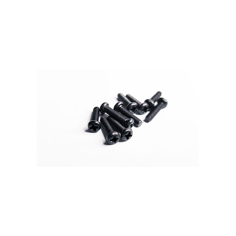 Electric car room all path 1/10 M3X12 curved head screw | Scientific-MHD