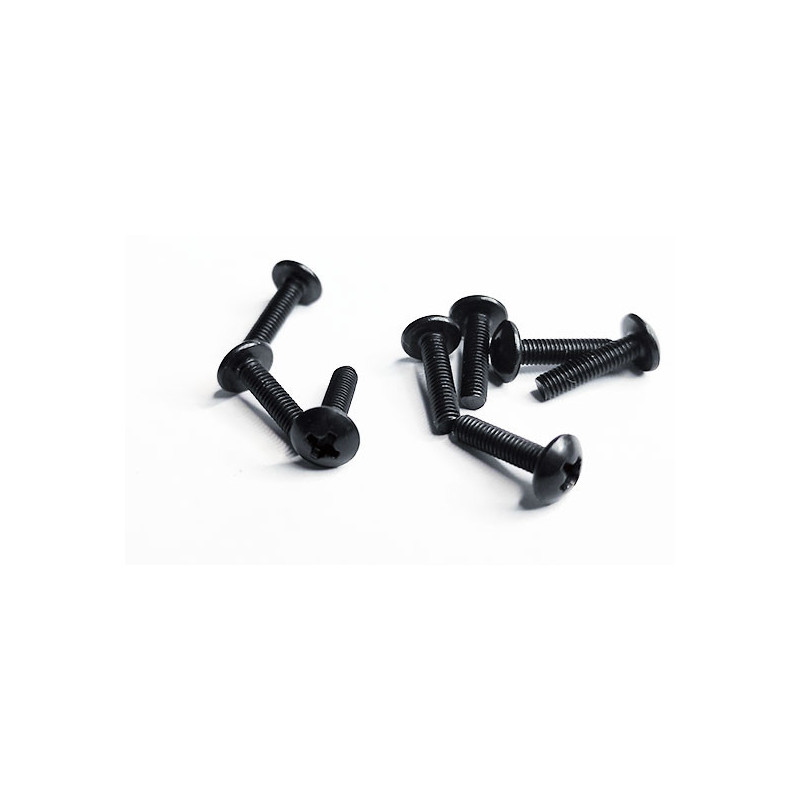 Electric car room all path 1/10 flat head screw m3x12 | Scientific-MHD