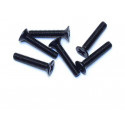 Electric car room all path 1/10 flat head screw m3x14 (6pcs) | Scientific-MHD