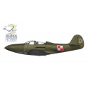 P-51B Mustang 1/72 plastic plane model | Scientific-MHD P-51B Mustang 1/72 plastic plane model | Scientific-MHD