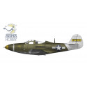 P-51B Mustang 1/72 plastic plane model | Scientific-MHD P-51B Mustang 1/72 plastic plane model | Scientific-MHD