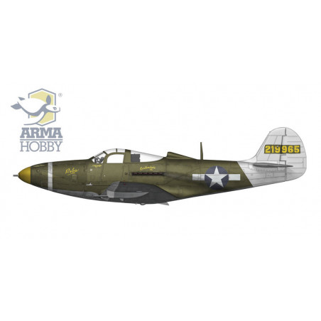 P-51B Mustang 1/72 plastic plane model | Scientific-MHD P-51B Mustang 1/72 plastic plane model | Scientific-MHD