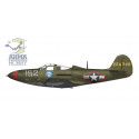 P-51B Mustang 1/72 plastic plane model | Scientific-MHD P-51B Mustang 1/72 plastic plane model | Scientific-MHD