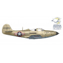 P-51B Mustang 1/72 plastic plane model | Scientific-MHD P-51B Mustang 1/72 plastic plane model | Scientific-MHD